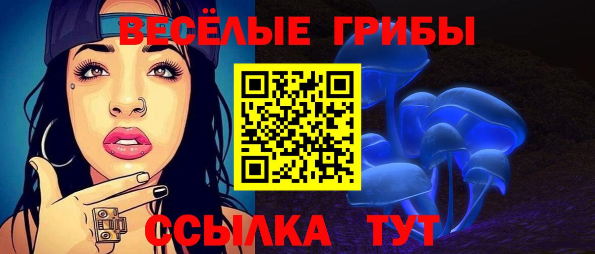 Галлюциногенные грибы GOLDEN TEACHER Новокубанск