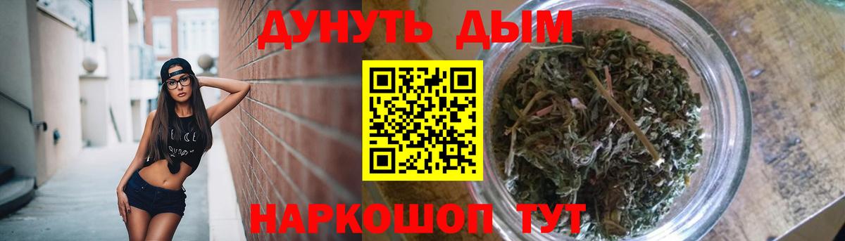 Бошки Шишки семена Новокубанск